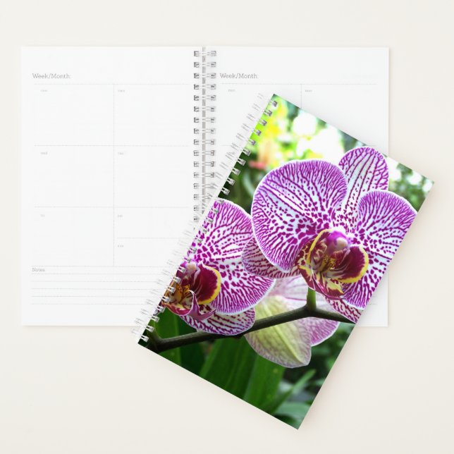 Agenda Sm Planner Orquídeas Purple Striped (Demostración)