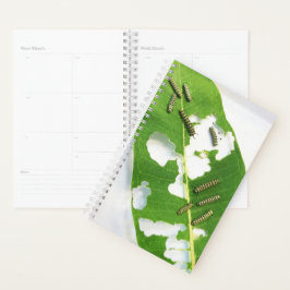 Agenda Sm Planner Pequeña Monarca Caterpillar