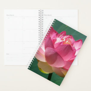 Agenda Sm Planner Pink Lotus