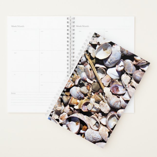 Agenda Sm Planner Seashells (Demostración)