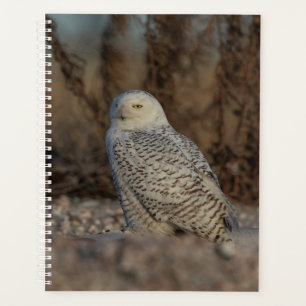 Agenda Snowy Owl Planner 2024