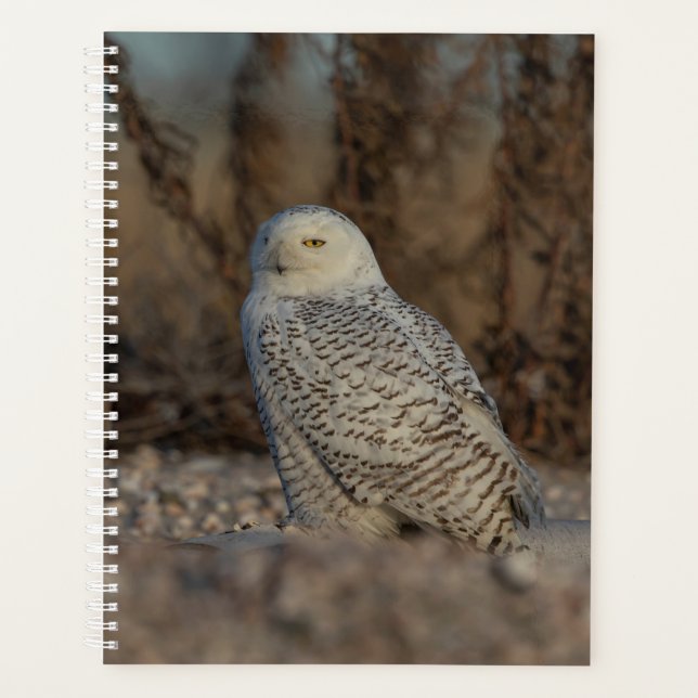 Agenda Snowy Owl Planner 2024 (Anverso)