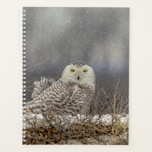 Agenda Snowy Owl Planner 2024 (Anverso)