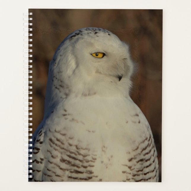 Agenda Snowy Owl Planner 2024 (Anverso)