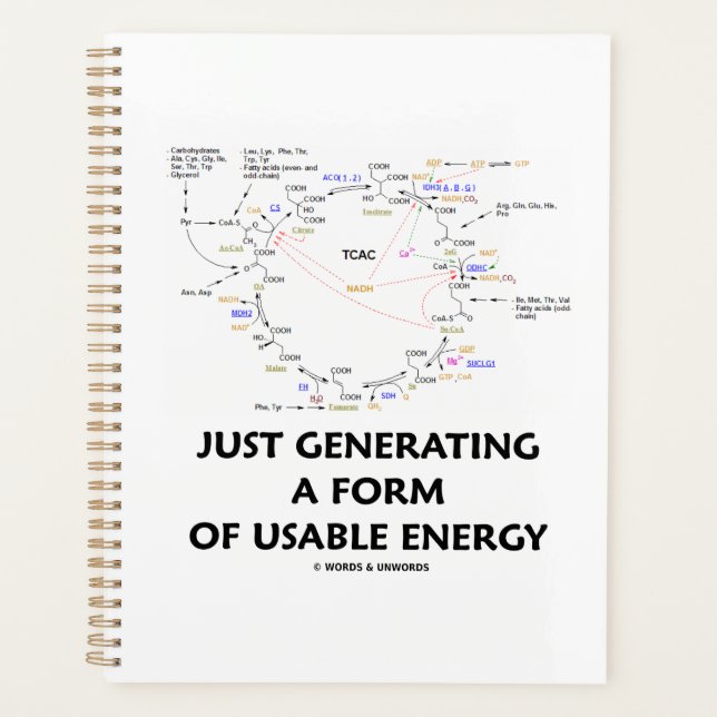 Agenda Solo Generando Una Forma De Energía Utilizable Kre (Anverso)