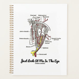 Agenda Sólo Mírame En La Anatomía Ocular Humana