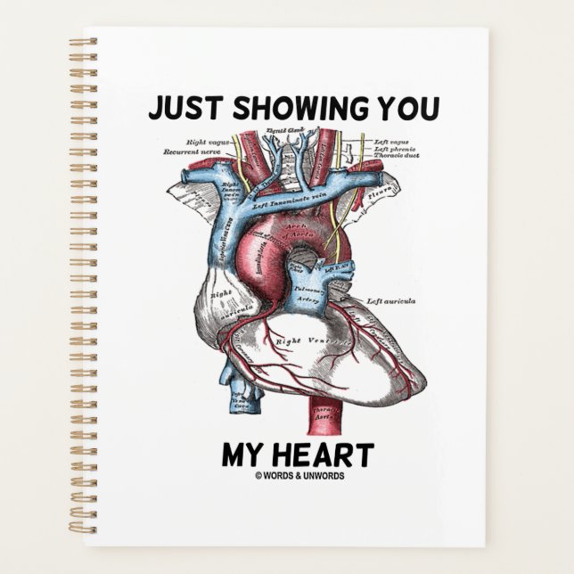 Agenda Sólo mostrándote mi corazón anatómico (Anverso)