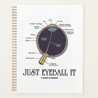 Agenda Sólo Ojo, Anatomía De Ojos Humanos, Consejos Geek