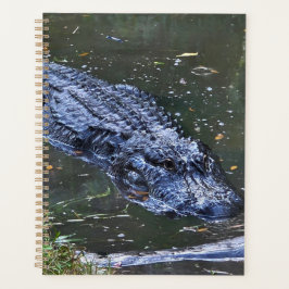 Agenda Sombra en las aguas poco profundas