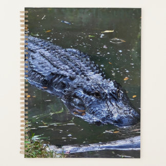 Agenda Sombra en las aguas poco profundas