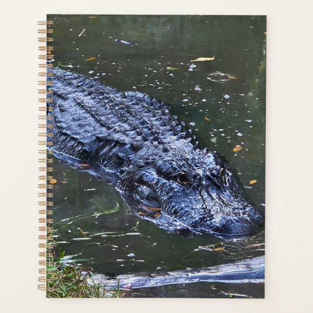 Agenda Sombra en las aguas poco profundas (Anverso)