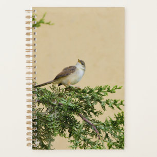 Agenda Sparrow