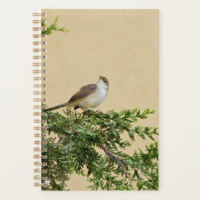 Agenda Sparrow (Anverso)