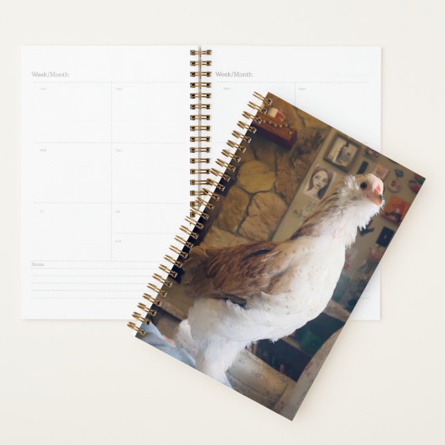 Agenda Spiral Planner Chicken on the Fireplace (Demostración)