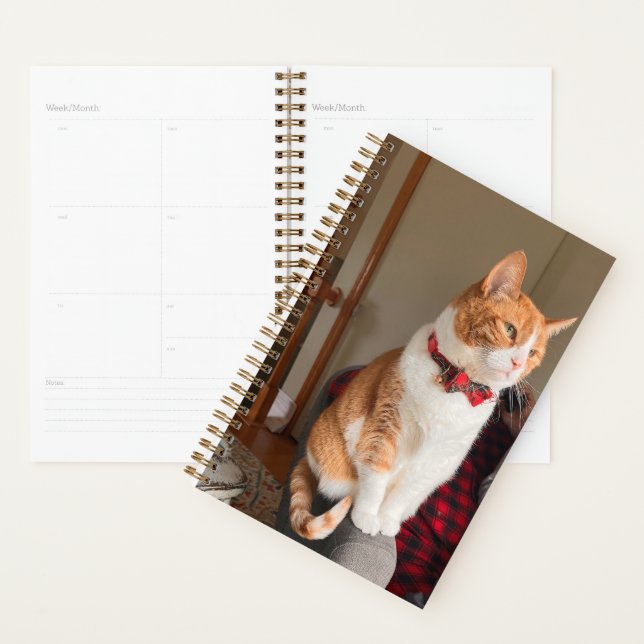 Agenda Spiral Planner Cozy Tabby Cat (Demostración)