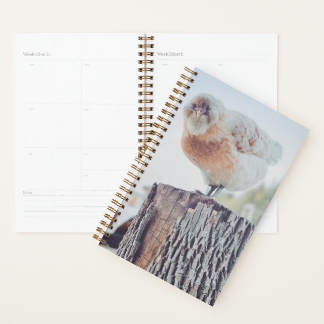 Agenda Spiral Planner - Its a Stumped Day (Demostración)