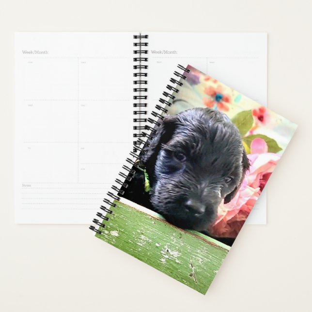 Agenda Spiral Planner Sweet Portuguese Water Dog (Demostración)