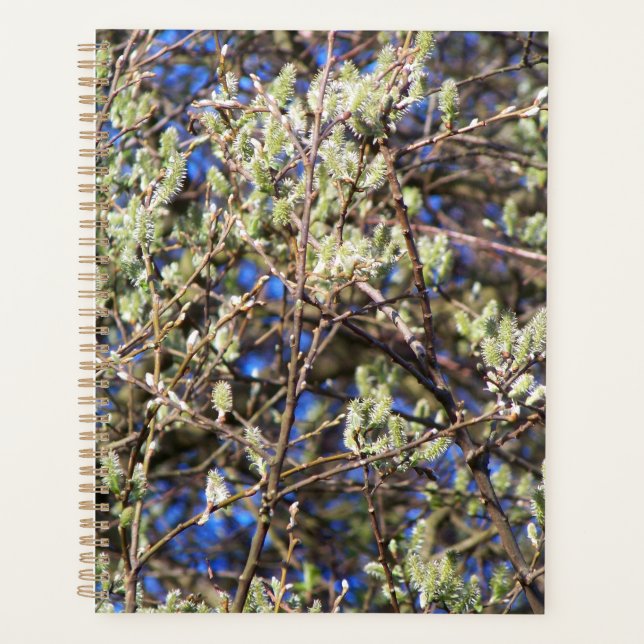 AGENDA SPRING WILLOW (Anverso)