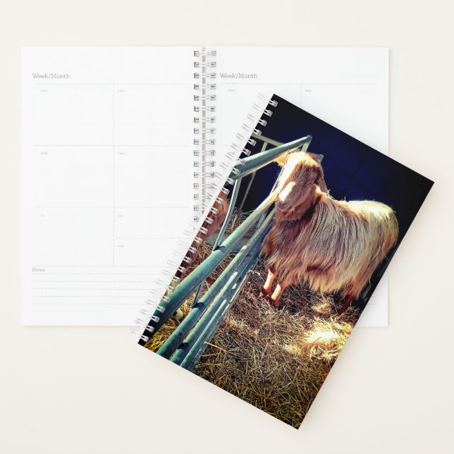 Agenda Sr. suave (Demostración)