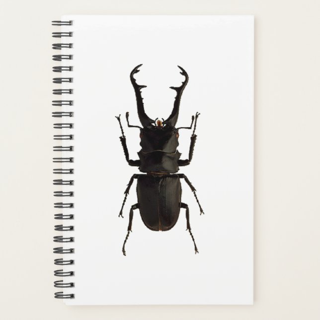 Agenda Stag Beetle (Anverso)