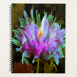 Agenda Stunning Magenta and Lime Green Cactus Dahlia