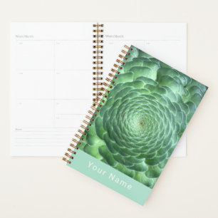 Agenda Suculenta planta verde calmo