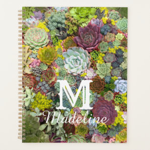 Agenda Suculentos paisajes coloridos