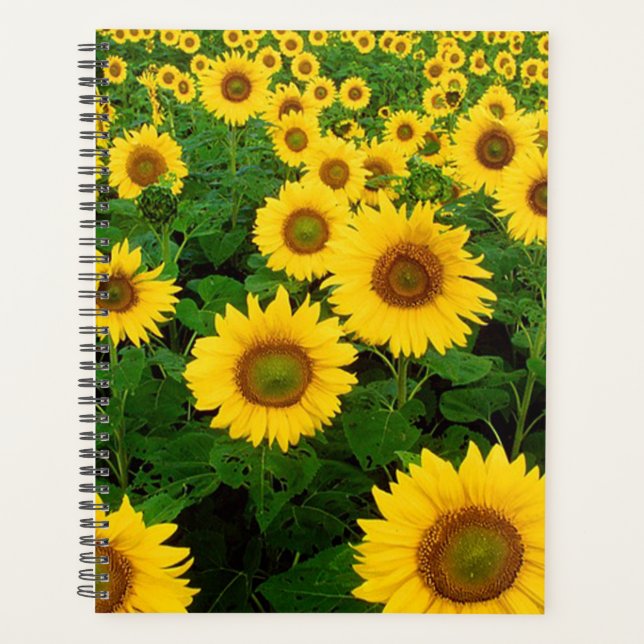 Agenda Sunflower (Anverso)
