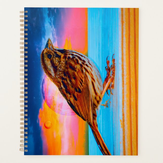 Agenda Sunset Melody (Anverso)