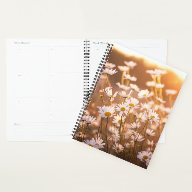 Agenda Sunset Oxeye Daisies (Demostración)