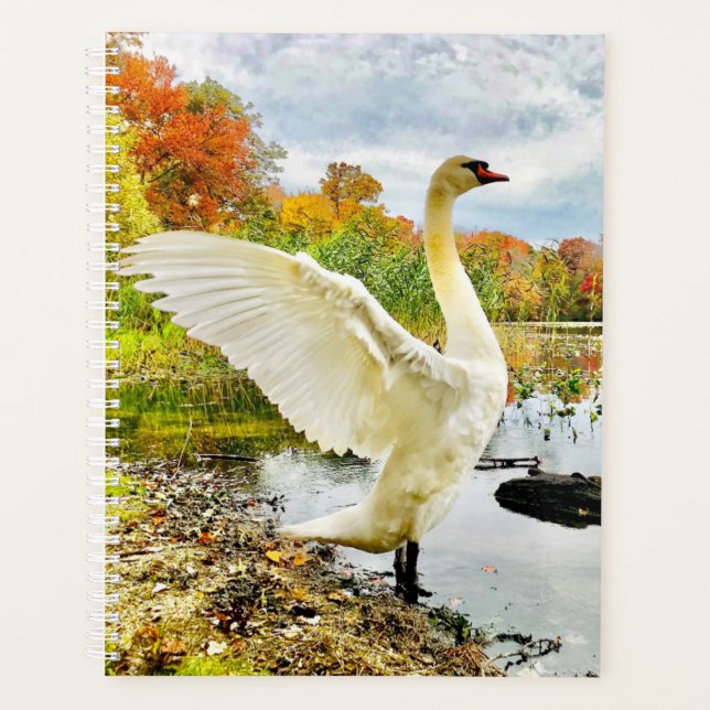 Agenda Swan Planner (Anverso)