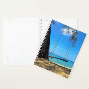 Agenda Swings & Tree on the Sand