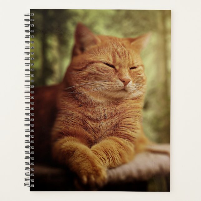 Agenda Tabby (Anverso)