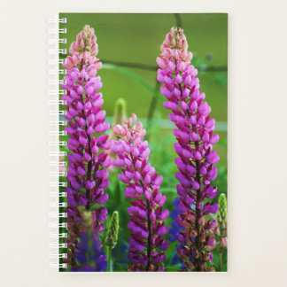 Agenda Tapa blanda pequeña Lupin, espiral blanca