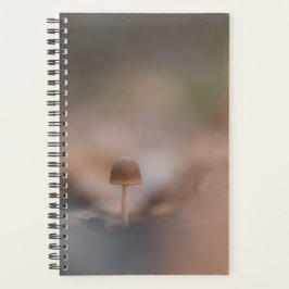 Agenda Tarjeta fotográfica Mushroom Nature