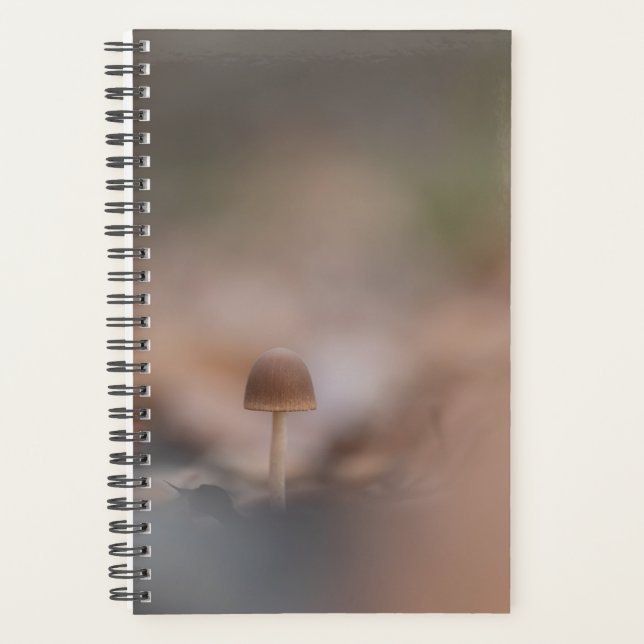Agenda Tarjeta fotográfica Mushroom Nature (Anverso)
