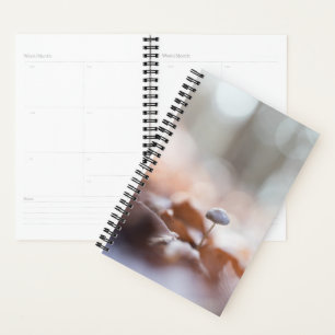 Agenda Tarjeta fotográfica Tiny Mushroom Nature