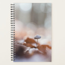 Agenda Tarjeta fotográfica Tiny Mushroom Nature