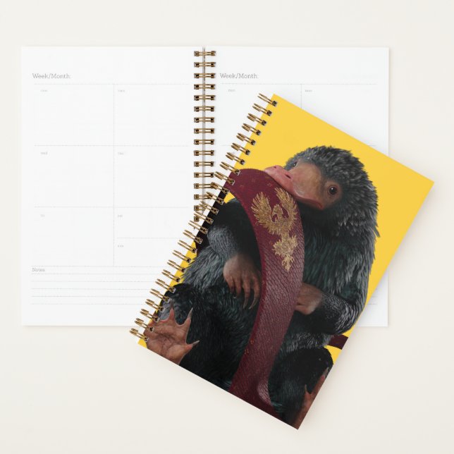 Agenda Teddy With Tie Graphic (Demostración)