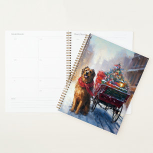 Agenda Temporada festiva de Navidades irlandeses