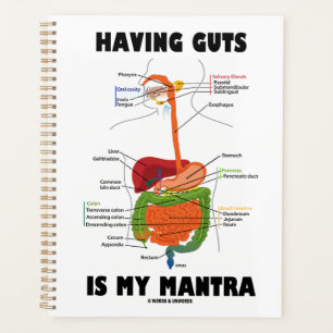 Agenda Tener Gotas Es Mi Humor Del Sistema Digestivo Mant
