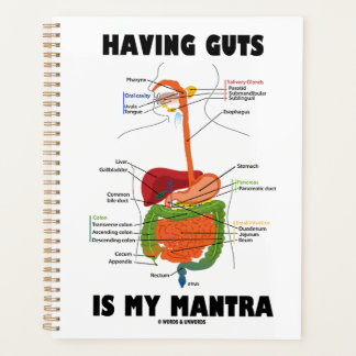 Agenda Tener Gotas Es Mi Humor Del Sistema Digestivo Mant