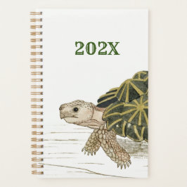 Agenda Tent Tortoise | Turba Beach Sea Animal Jigsaw