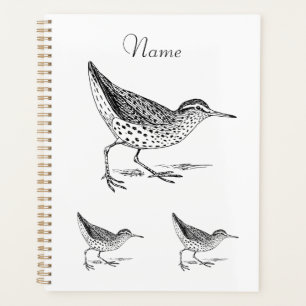 Agenda Thunder_Cove de Sandpiper