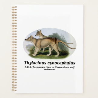 Agenda Thylacinus cynocephalus (tigre o lobo de Tasmania)