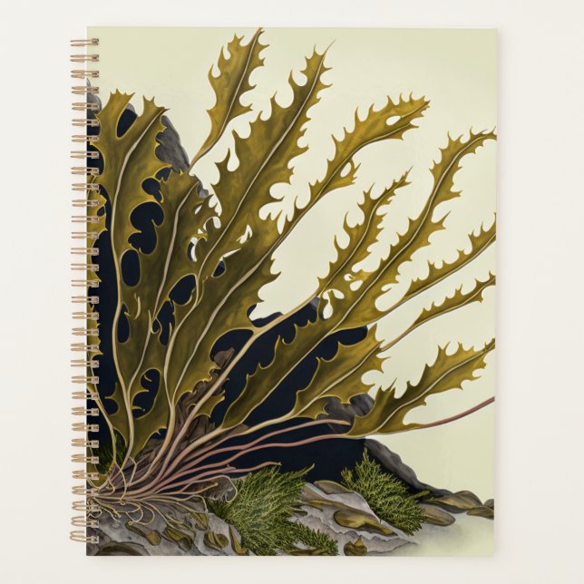 Agenda Tidal Fronds (Anverso)