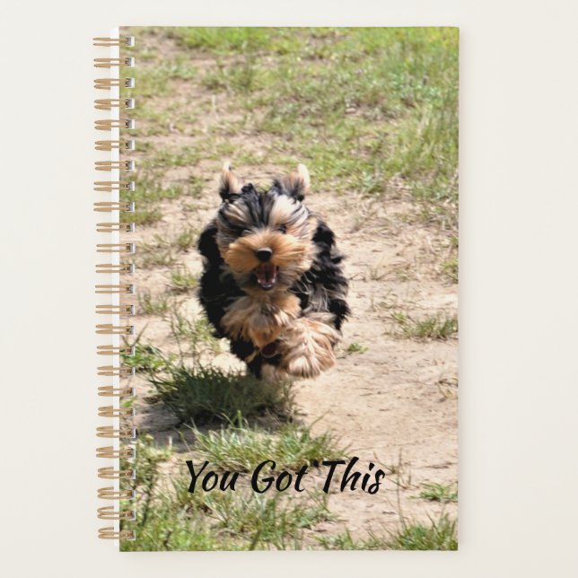 Agenda Tienes este yorkie lindo corriendo (Anverso)