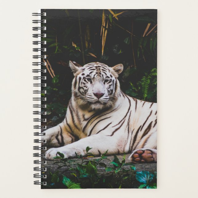 Agenda Tigre (Anverso)