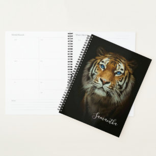 Agenda Tigre