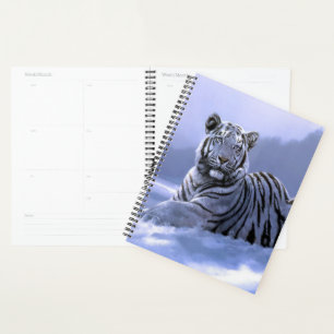 Agenda Tigre blanco